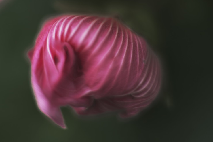 e0342136_19102673.jpg