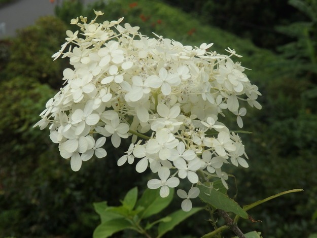 a0054240_21424210.jpg