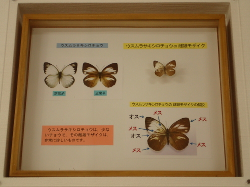 d0285540_15204212.jpg