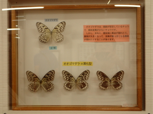 d0285540_15210091.jpg