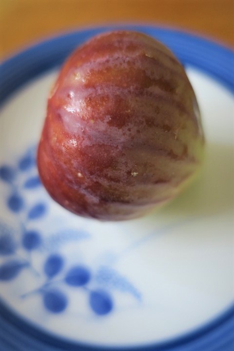 e0300042_21393385.jpg
