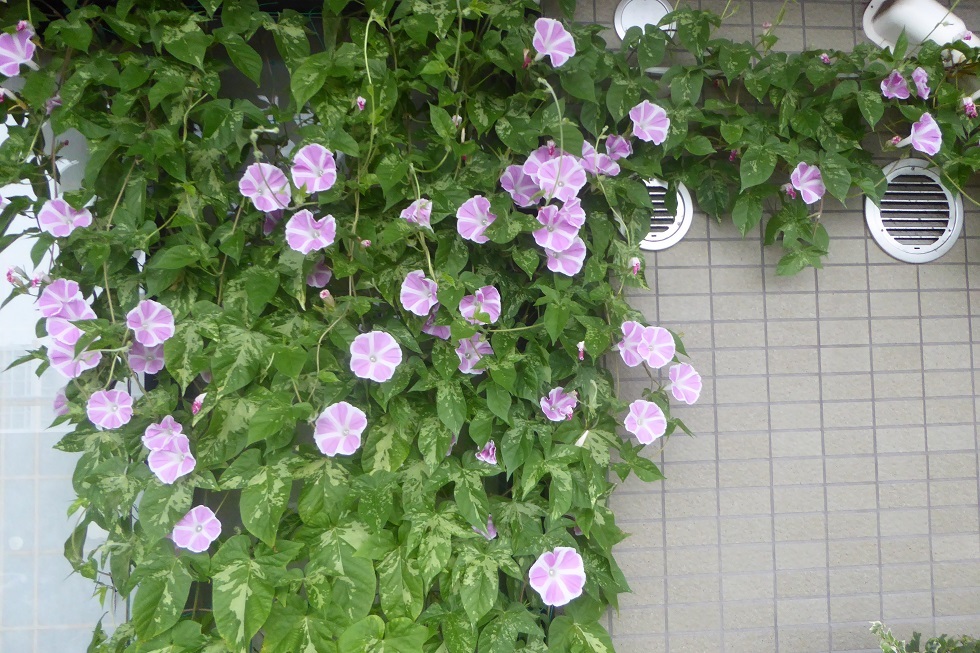 d0288144_22312448.jpg