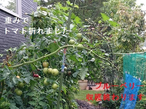 d0306248_16072753.jpg