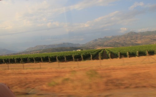 c0011649_12542264.jpg