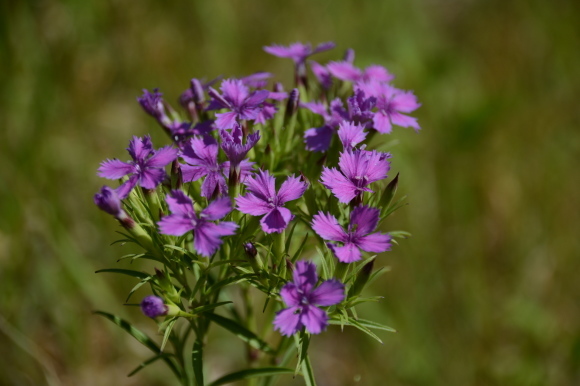 e0341849_15024279.jpg