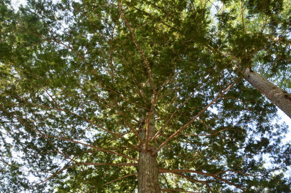 e0341849_15031586.jpg
