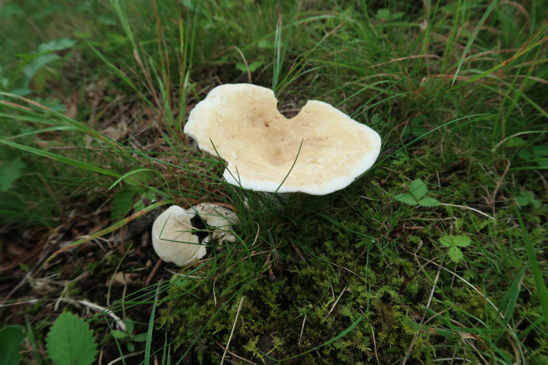 c0201450_17311837.jpg
