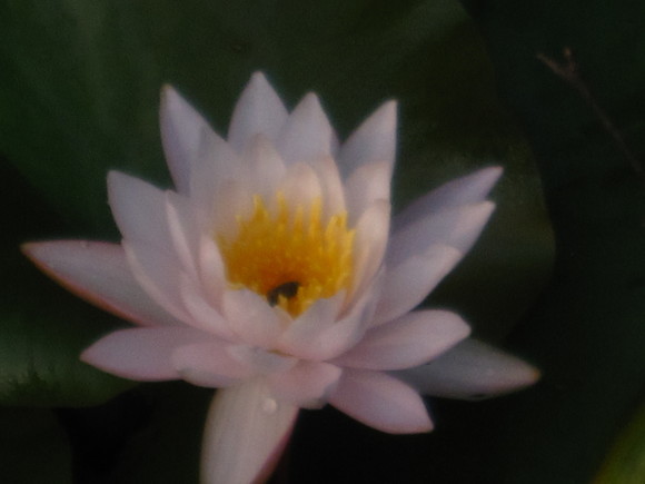 b0243152_11374150.jpg