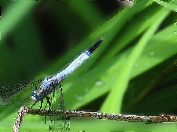 b0243152_19114338.jpg