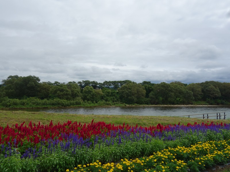 f0291154_0134876.jpg