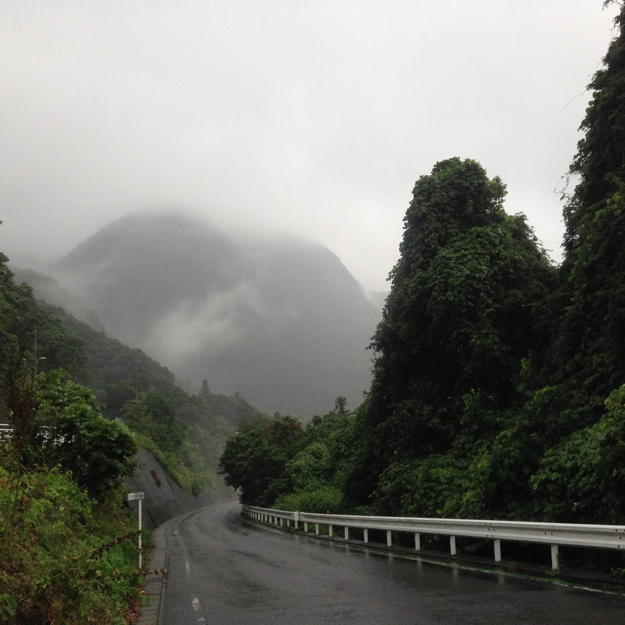 d0056455_062314.jpg
