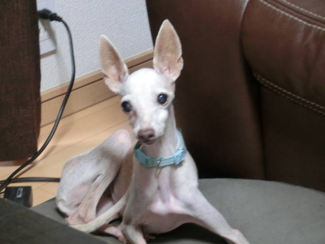 d0362859_07063902.jpg