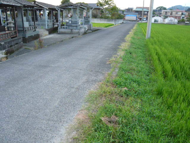 b0363563_20030873.jpg