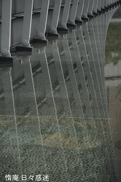 e0346064_17495798.gif