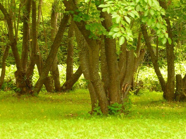 e0122168_01104319.jpg