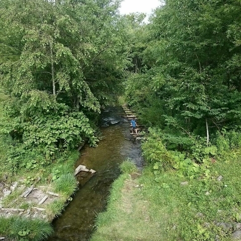 c0311170_07345907.jpg