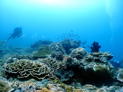 b0033573_22435120.jpg
