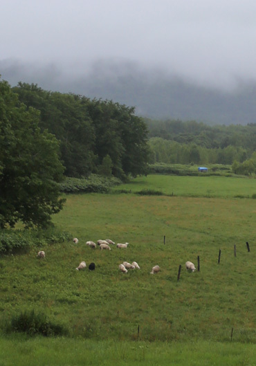 b0086273_11433991.jpg
