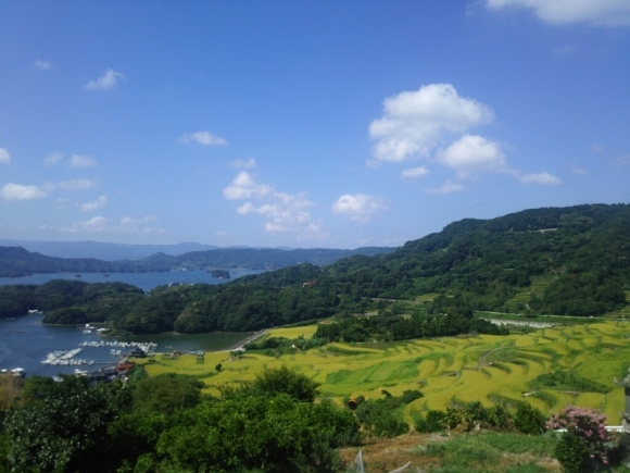 a0239874_07035341.jpg