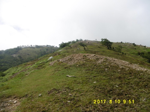 b0127574_16355046.jpg