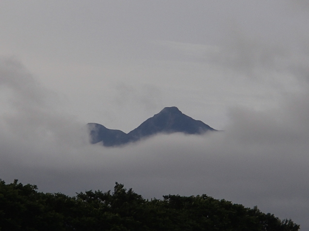 f0130376_19483533.jpg