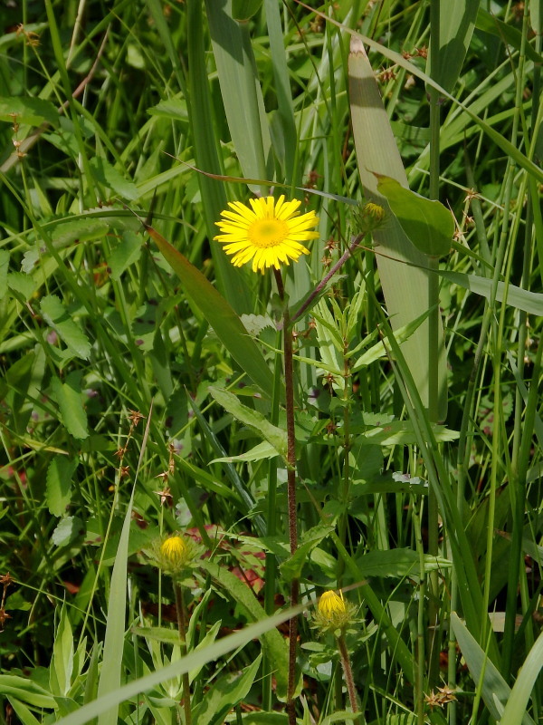 f0372177_22274744.jpg