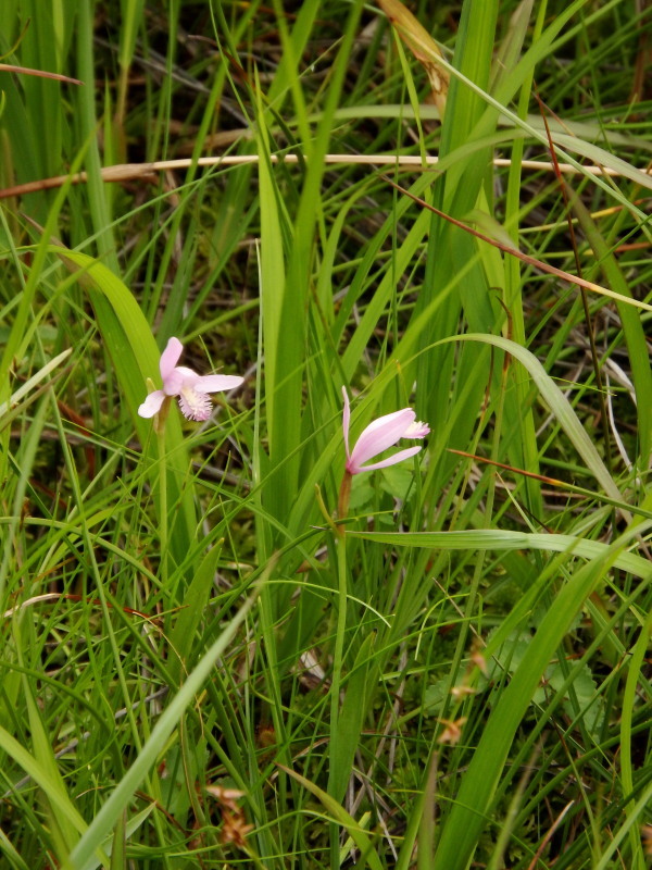 f0372177_22280867.jpg