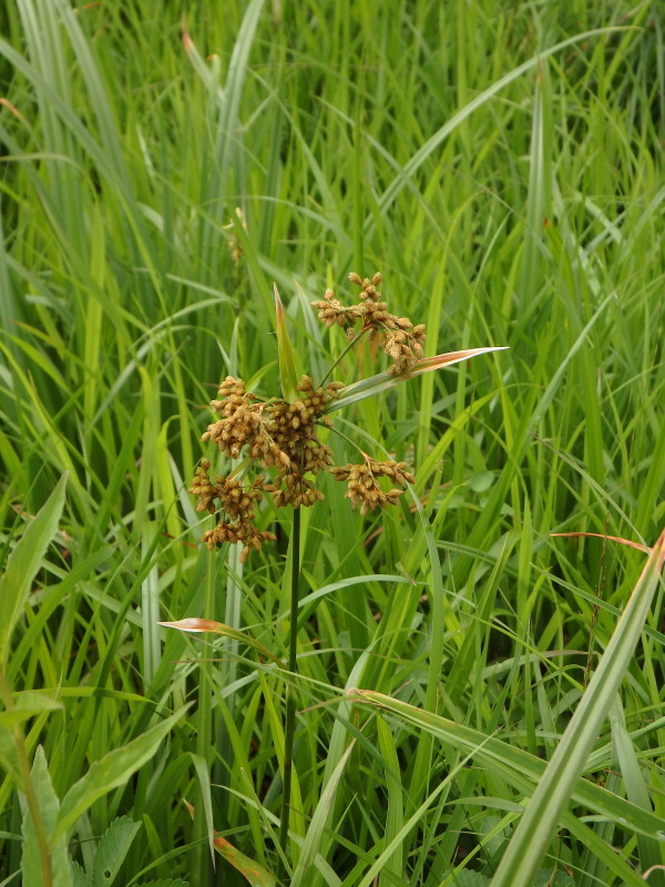 f0372177_22281824.jpg
