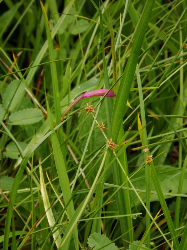 f0372177_22282272.jpg