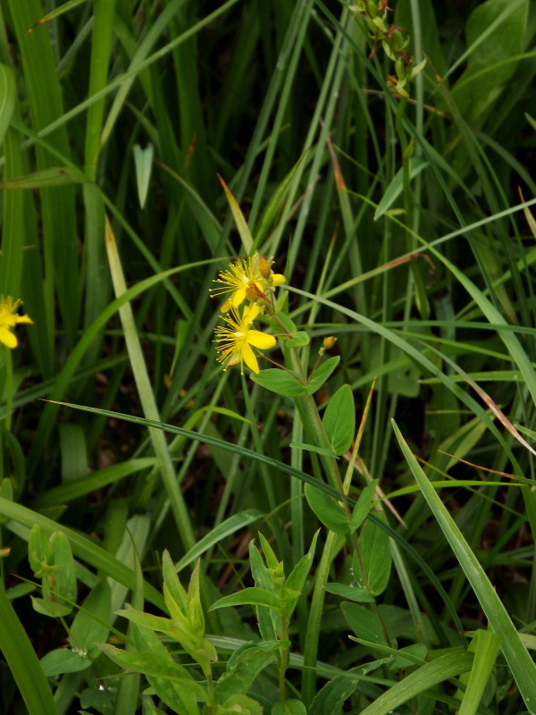 f0372177_22282693.jpg