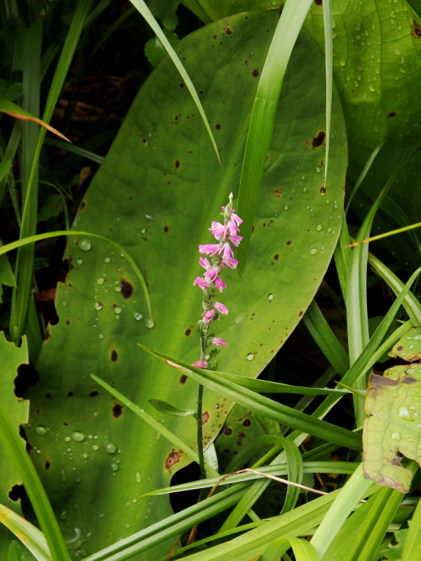 f0372177_22283059.jpg