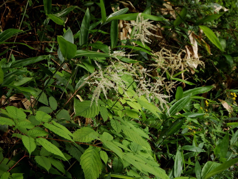 f0372177_22283490.jpg