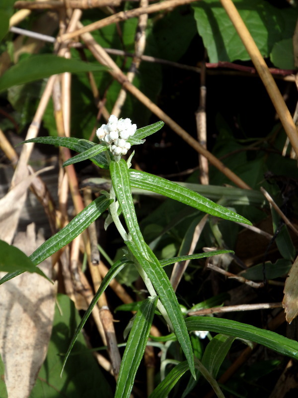 f0372177_22284155.jpg