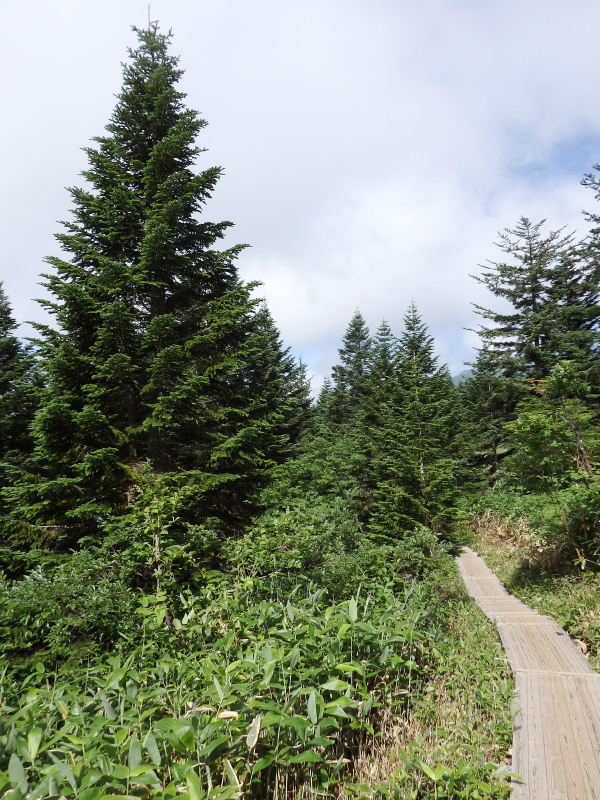 f0372177_22284322.jpg