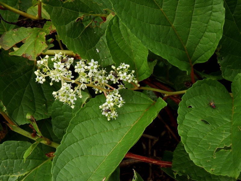 f0372177_22284662.jpg