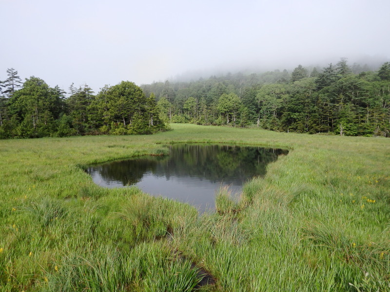 f0372177_22352475.jpg