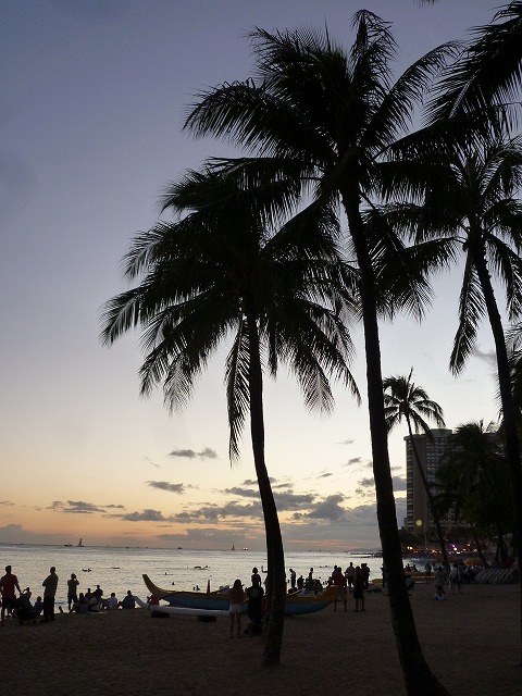 a0347778_2055475.jpg