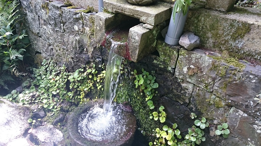 f0051283_1342191.jpg