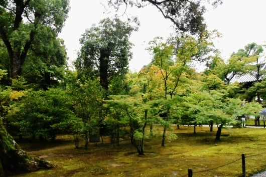 b0329186_09225641.jpg