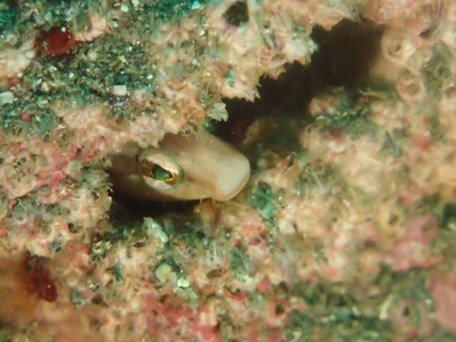 f0151886_16182035.jpg