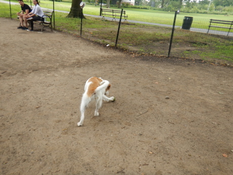 c0253487_23061241.jpg