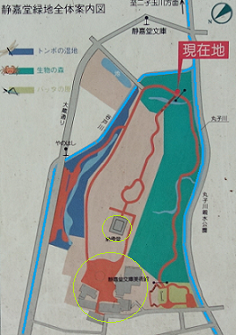 d0183387_13300456.png