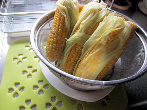 a0308493_13501319.jpg
