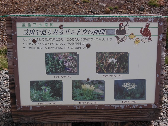 c0225896_22292832.jpg