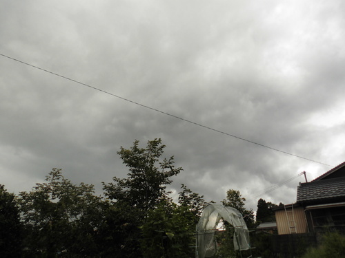 c0108198_15495691.jpg