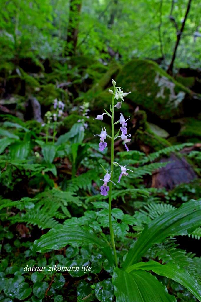 d0361602_13275237.jpg