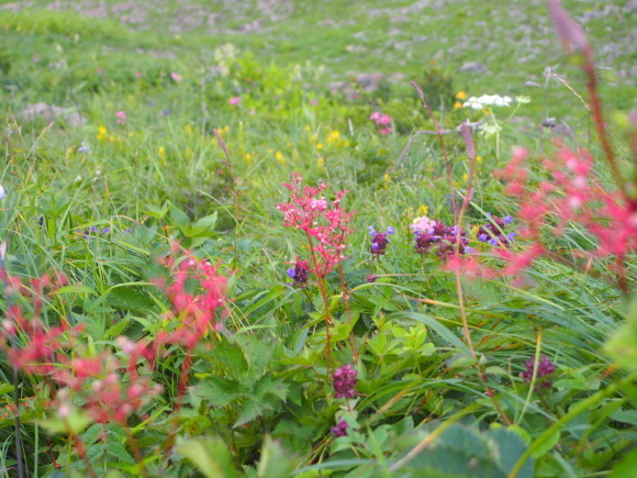 b0245306_08443739.jpg