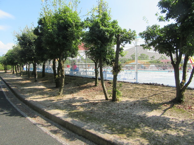 f0231709_20561067.jpg