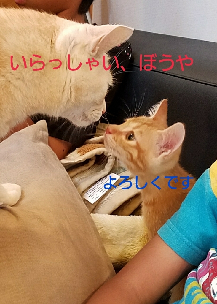a0194911_23223317.jpg