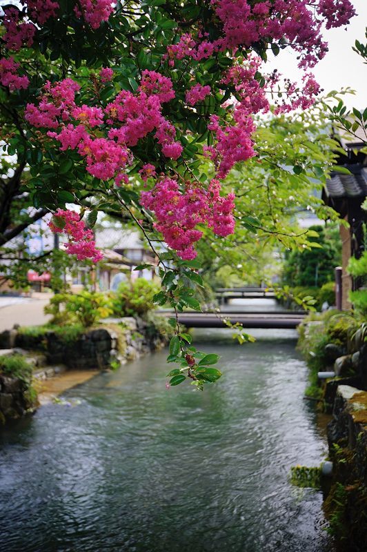 f0032011_19544962.jpg